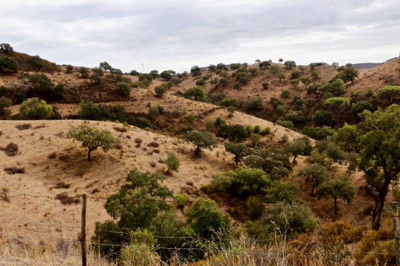 Vallée du Guadiana