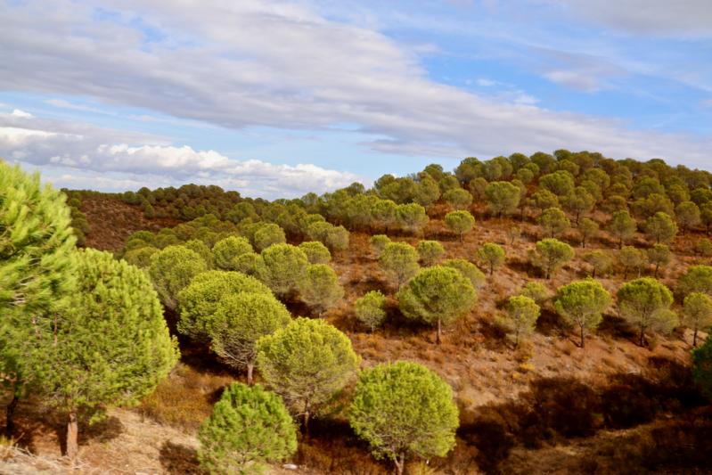 Vallée du Guadiana